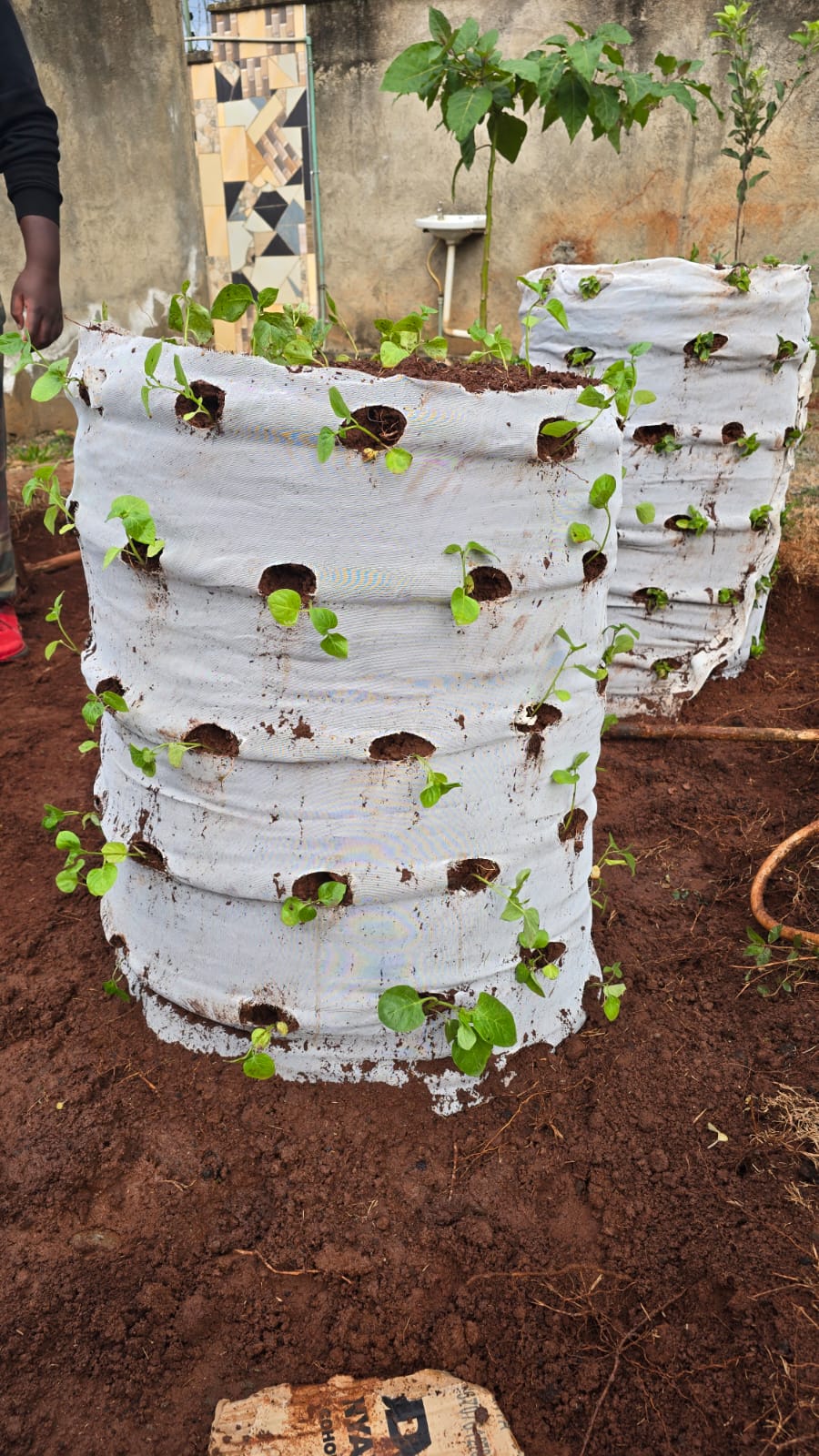 Vertical grow bags